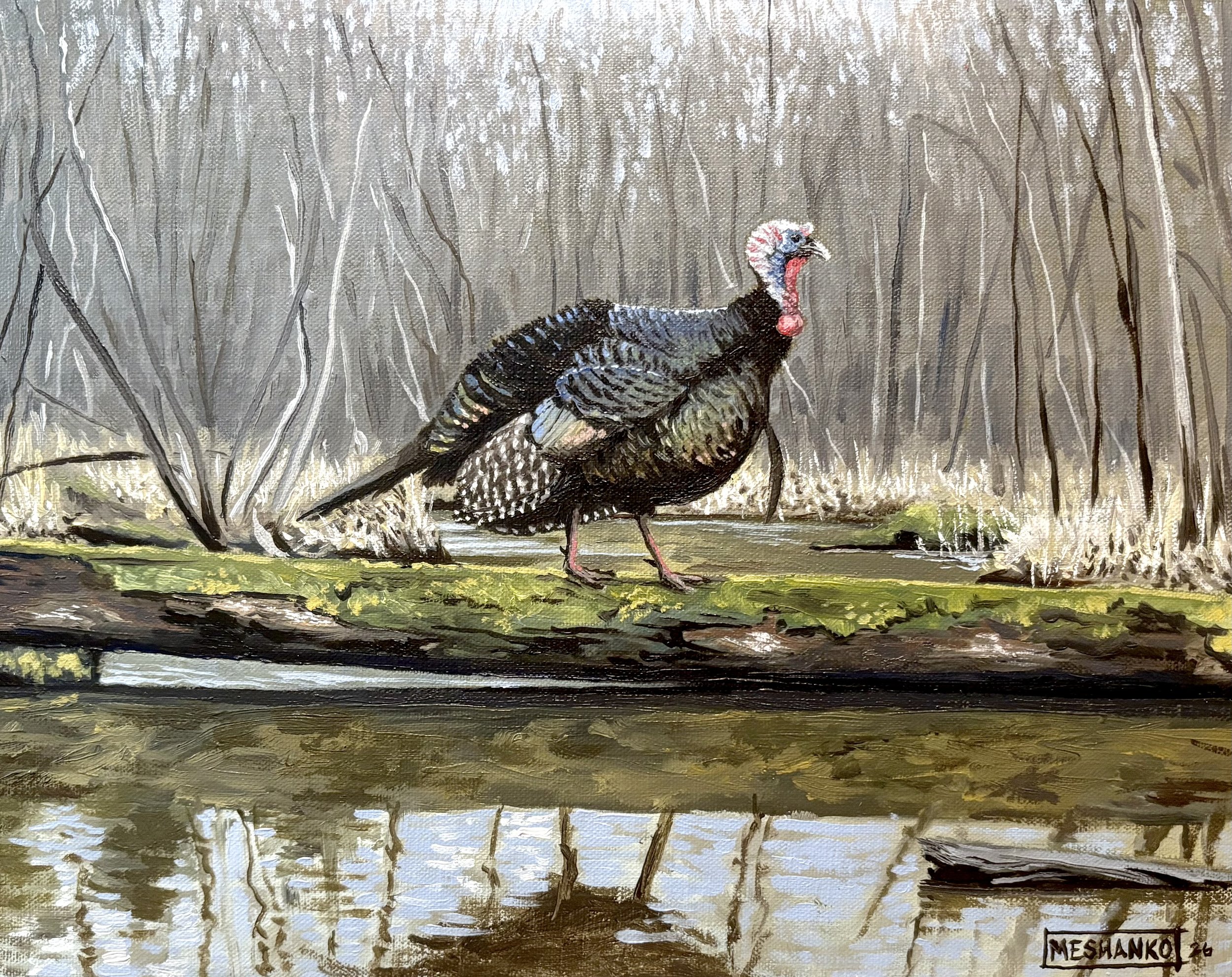 Tightrope Tom
-11x14 oil on canvas