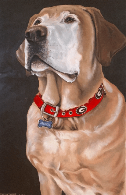 IMG_8911.GIF