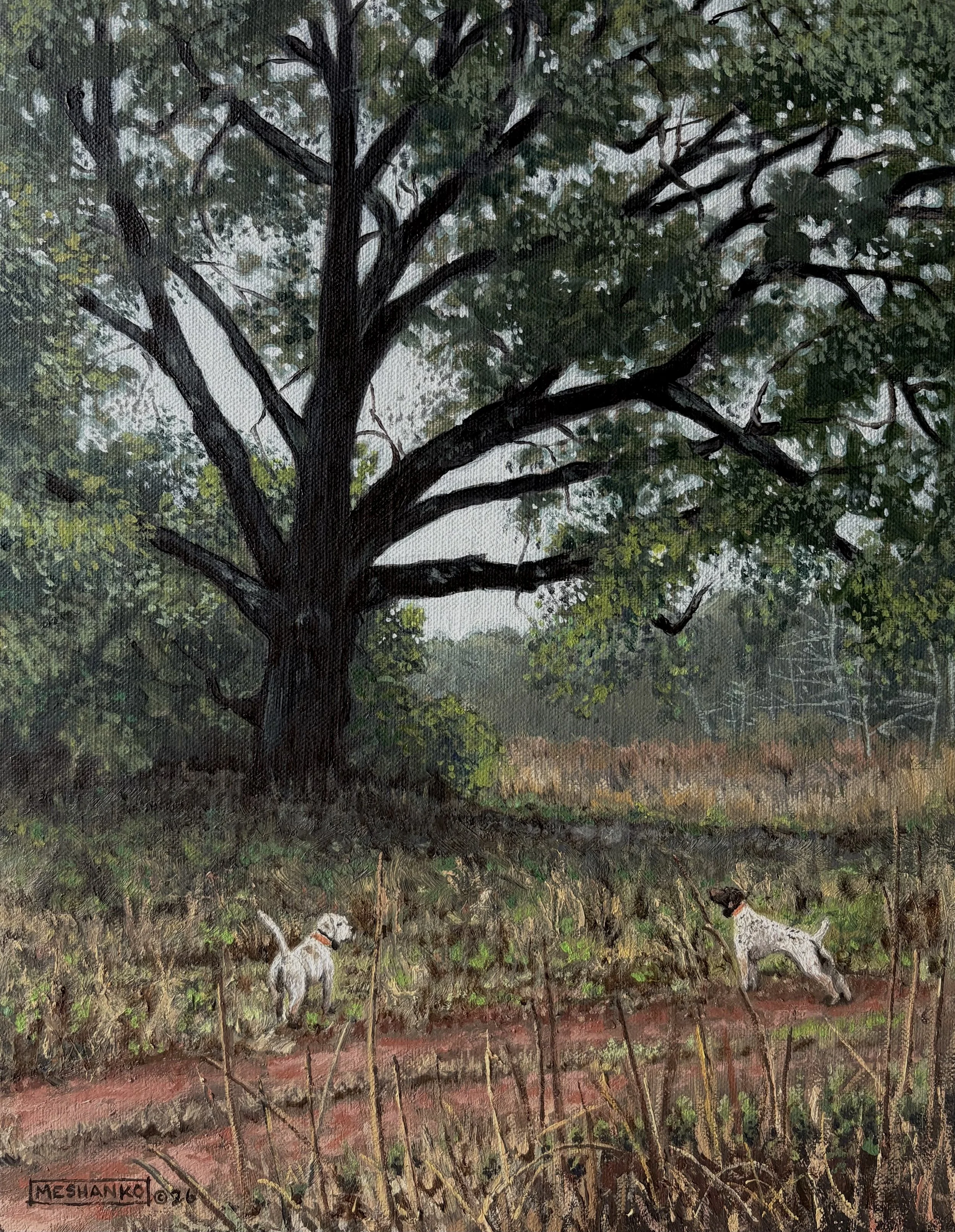 Hemmed In
-11x14 oil on canvas