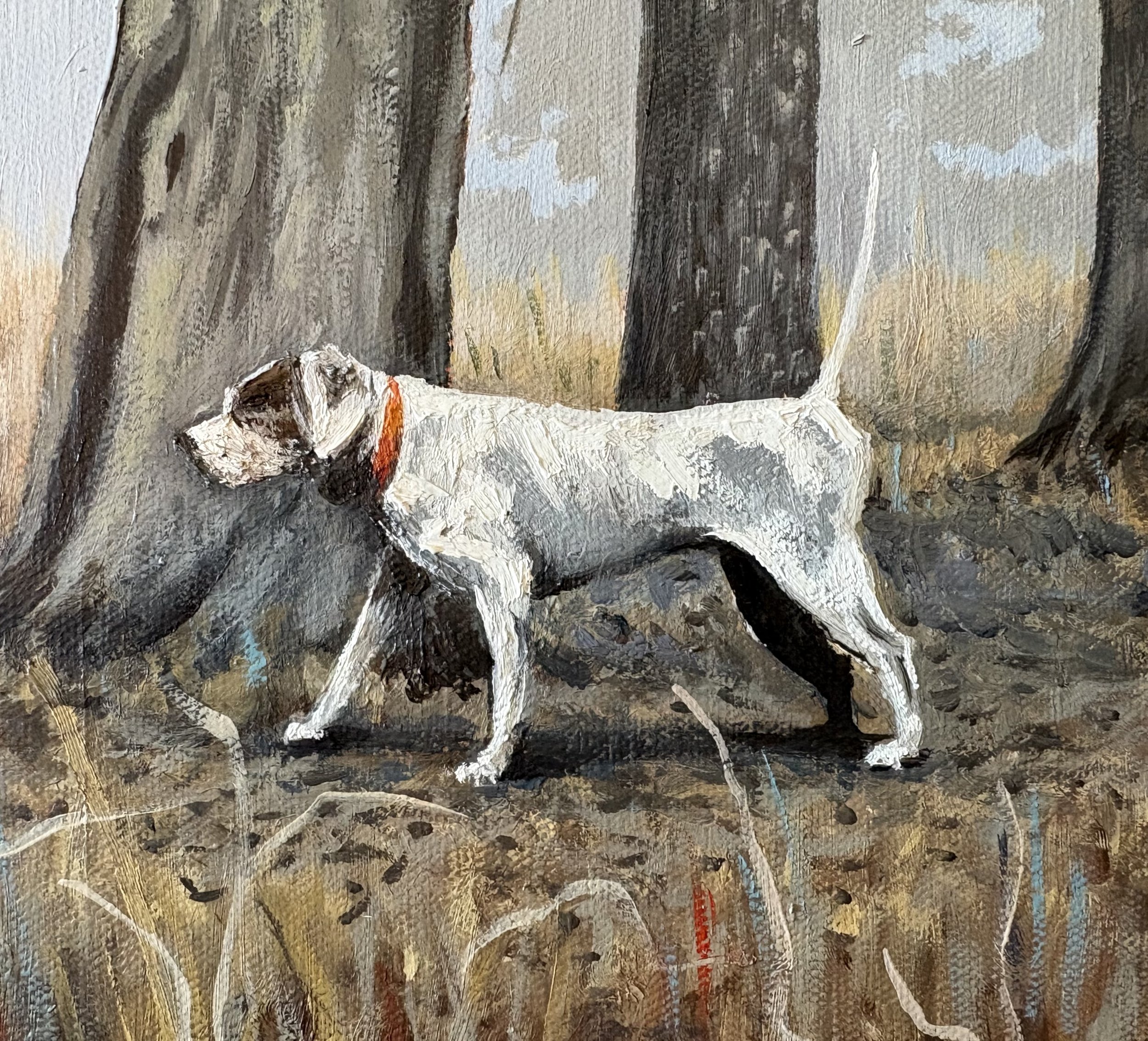 Somewhere on Piney Creek
-24x48 oil on canvas