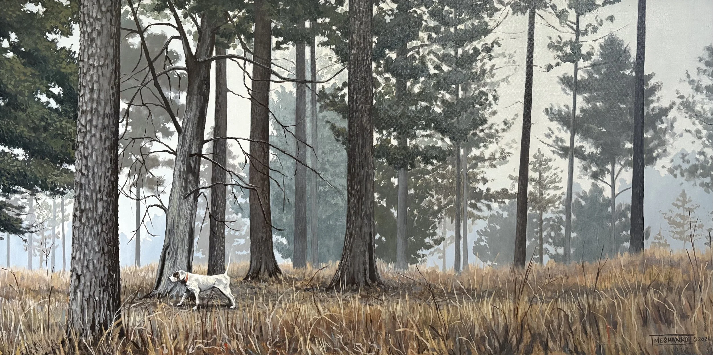 Somewhere on Piney Creek
-24x48 oil on canvas