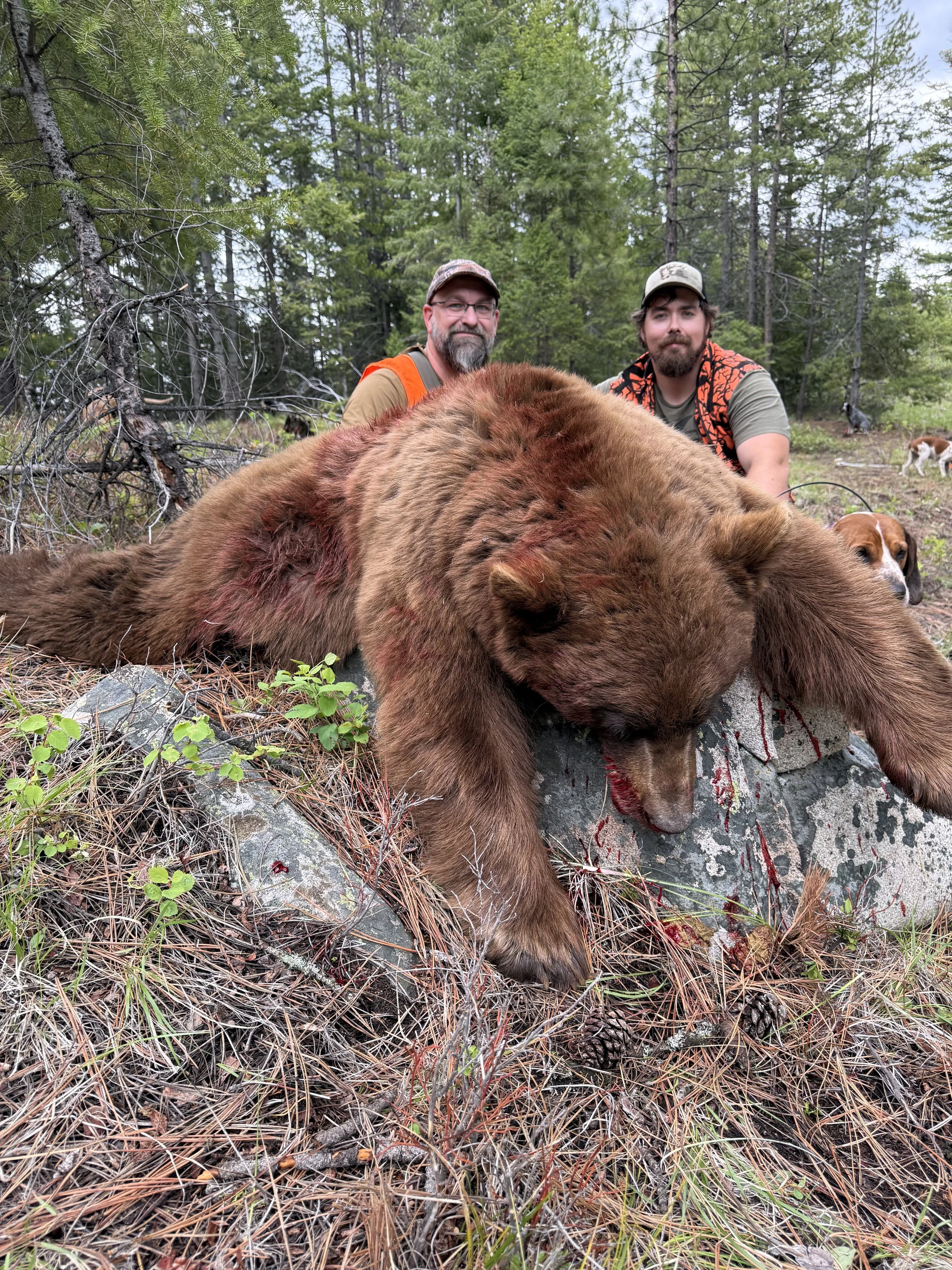 TWO BEAR BLONDE JPEG.jpg