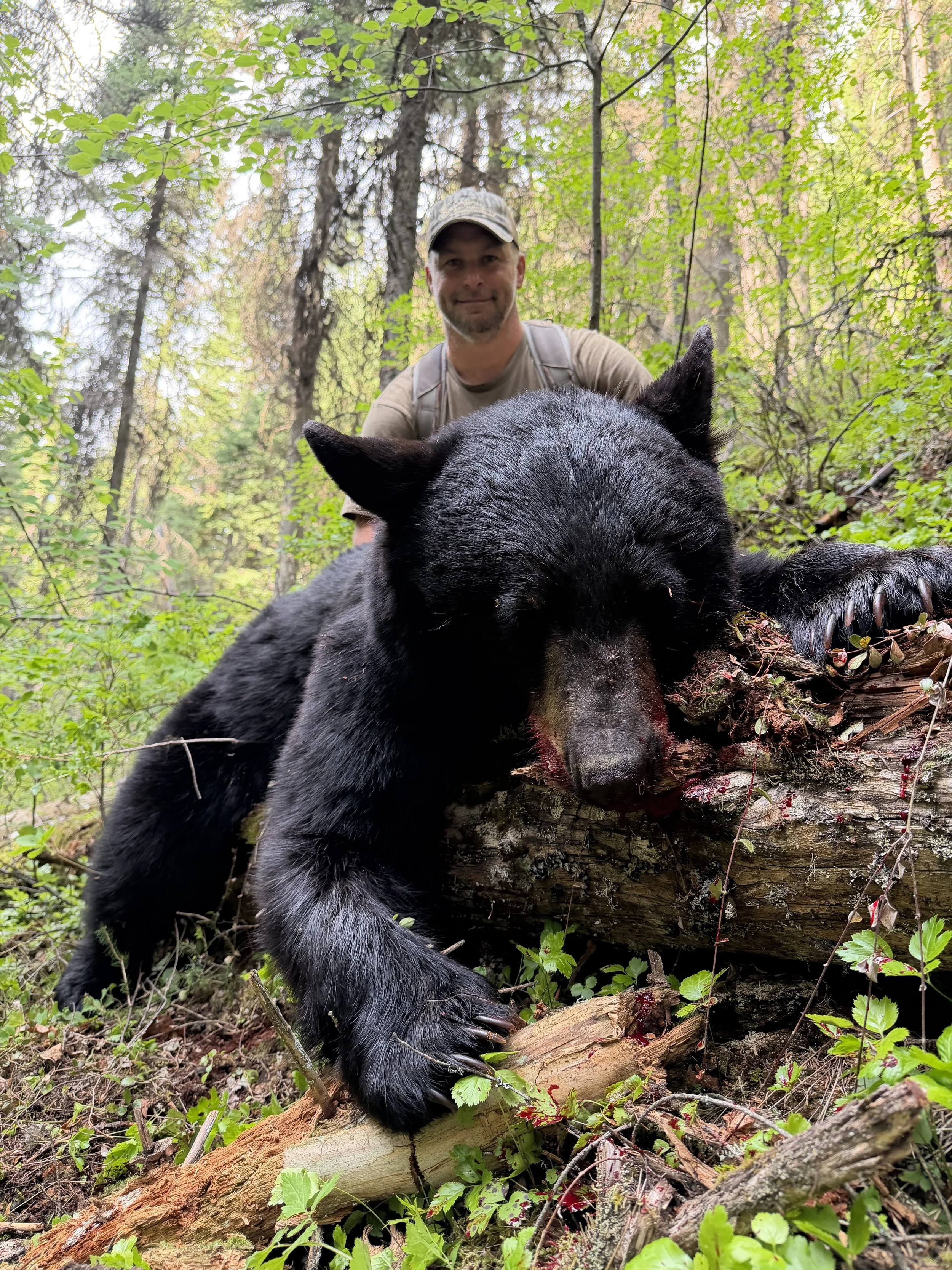 JACKSON BEAR.jpg