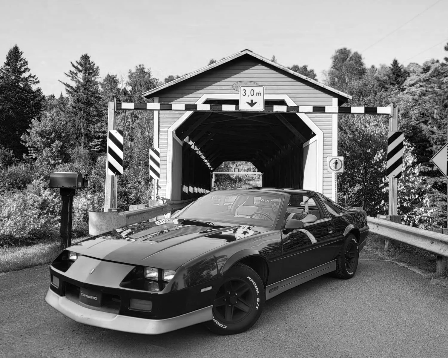 camaro black and white