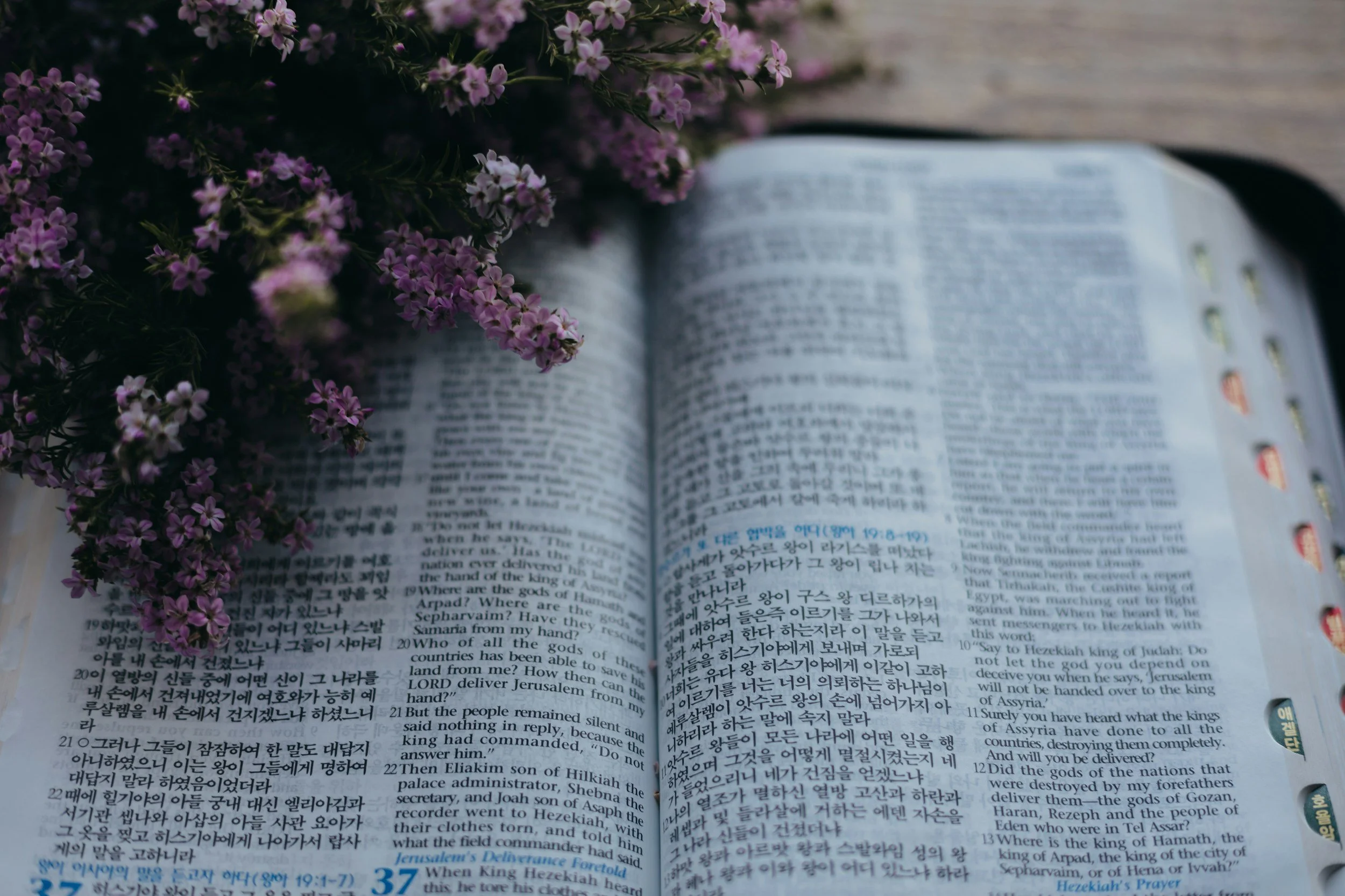 An open bible with text in Korean and English lying on a surface next to a bunch of pink flowers.