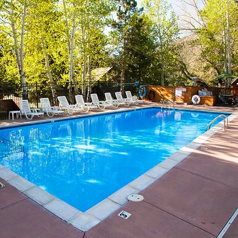 Empty outdoor swimming pool surrounded by white lounge chairs, with trees and a fence in the background.
