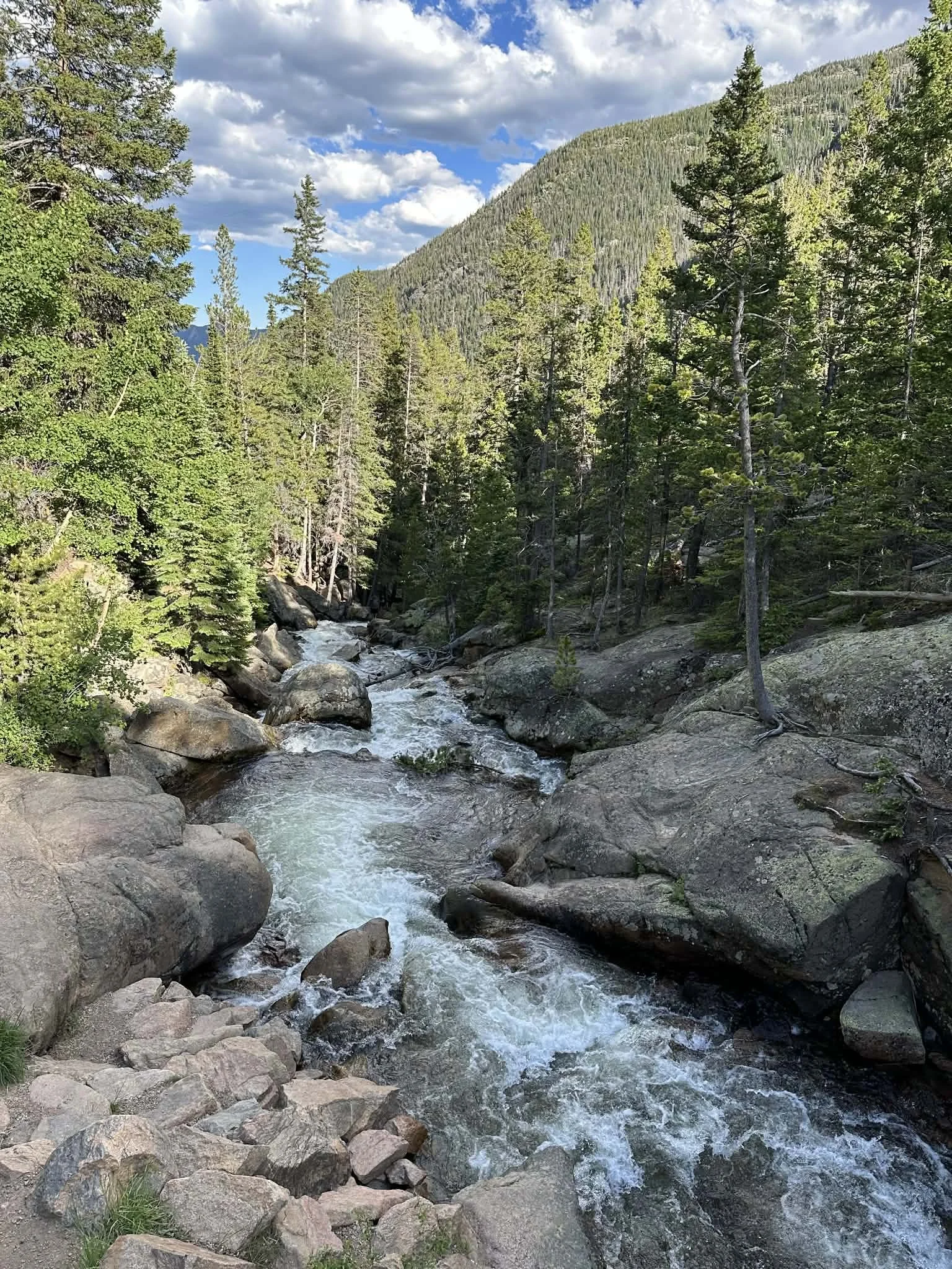A mountain stream flowing through a forested valley with tall pine trees, rocky terrain, and a mountain range in the background under a partly cloudy sky.