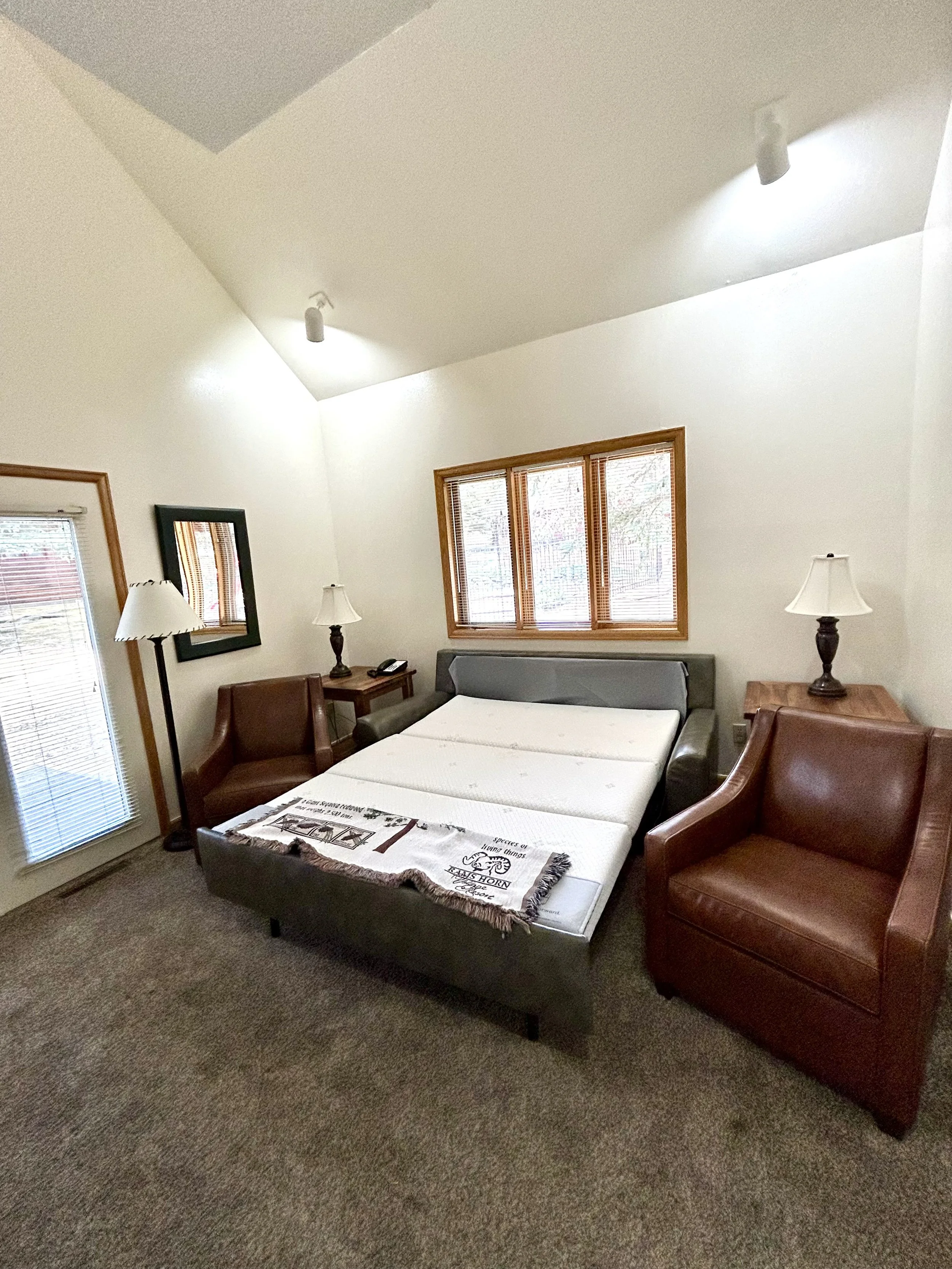 Queen Sleeper Sofa — Starting at $1,150