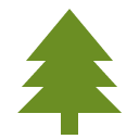 Illustration of a green pine tree