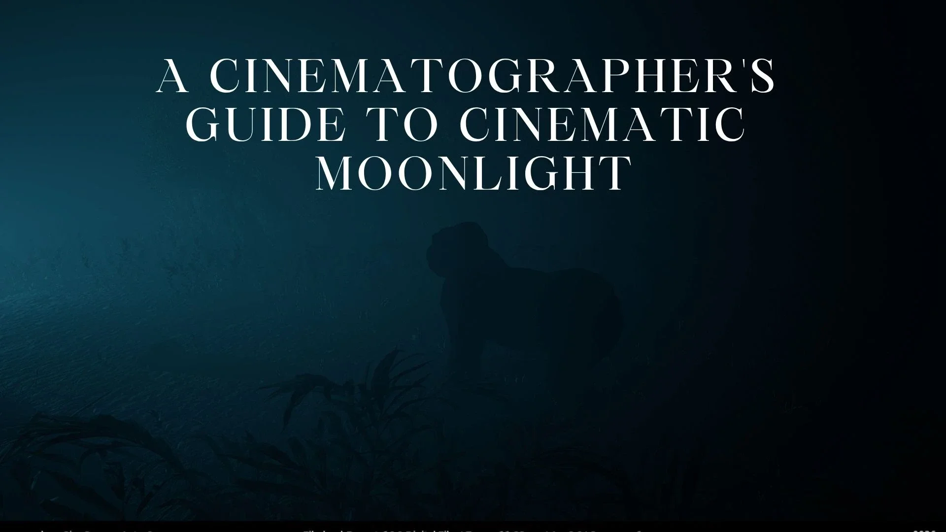 senior-environment-lighting-12 (12).webp