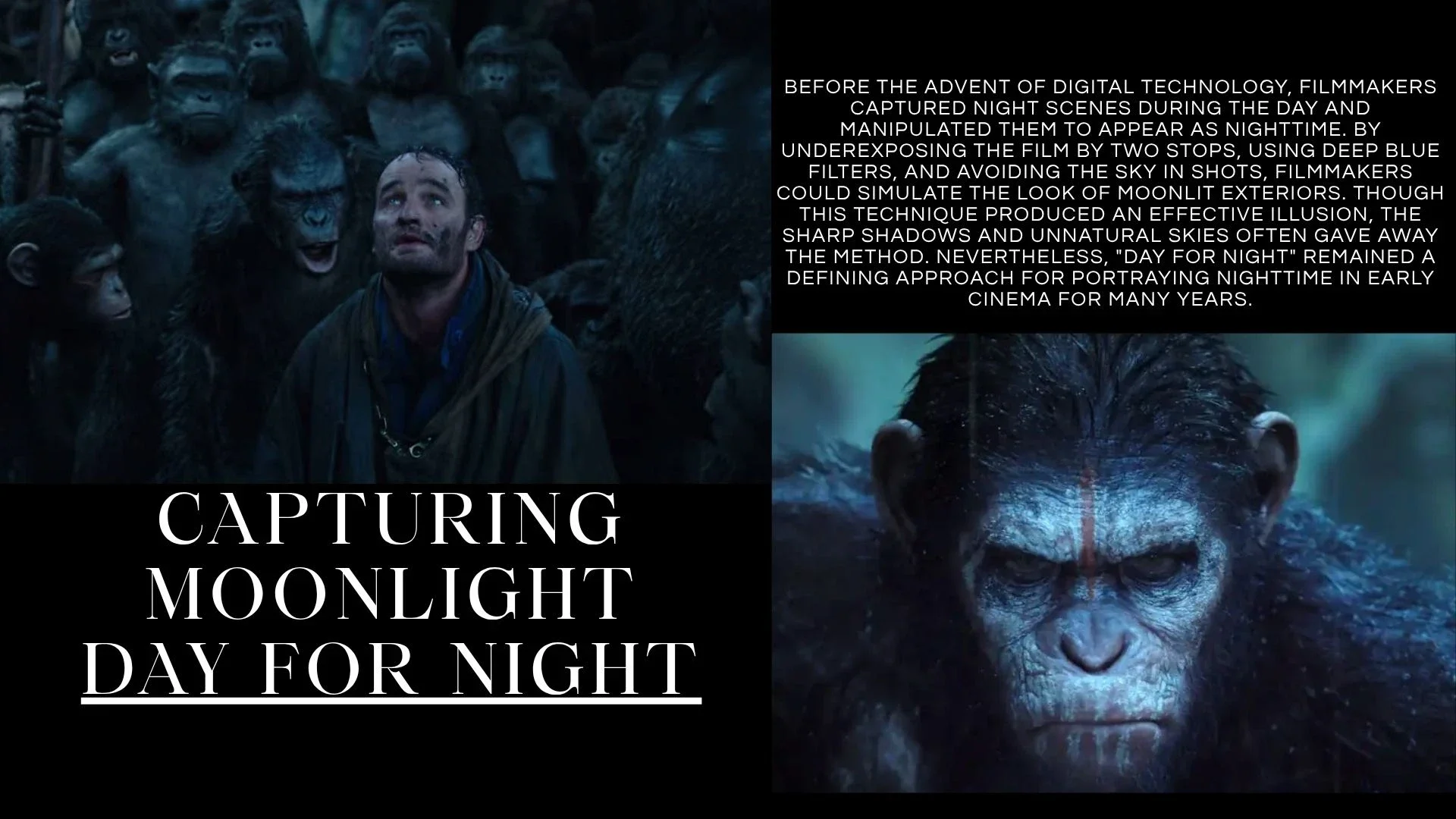 senior-environment-lighting-12 (7).webp