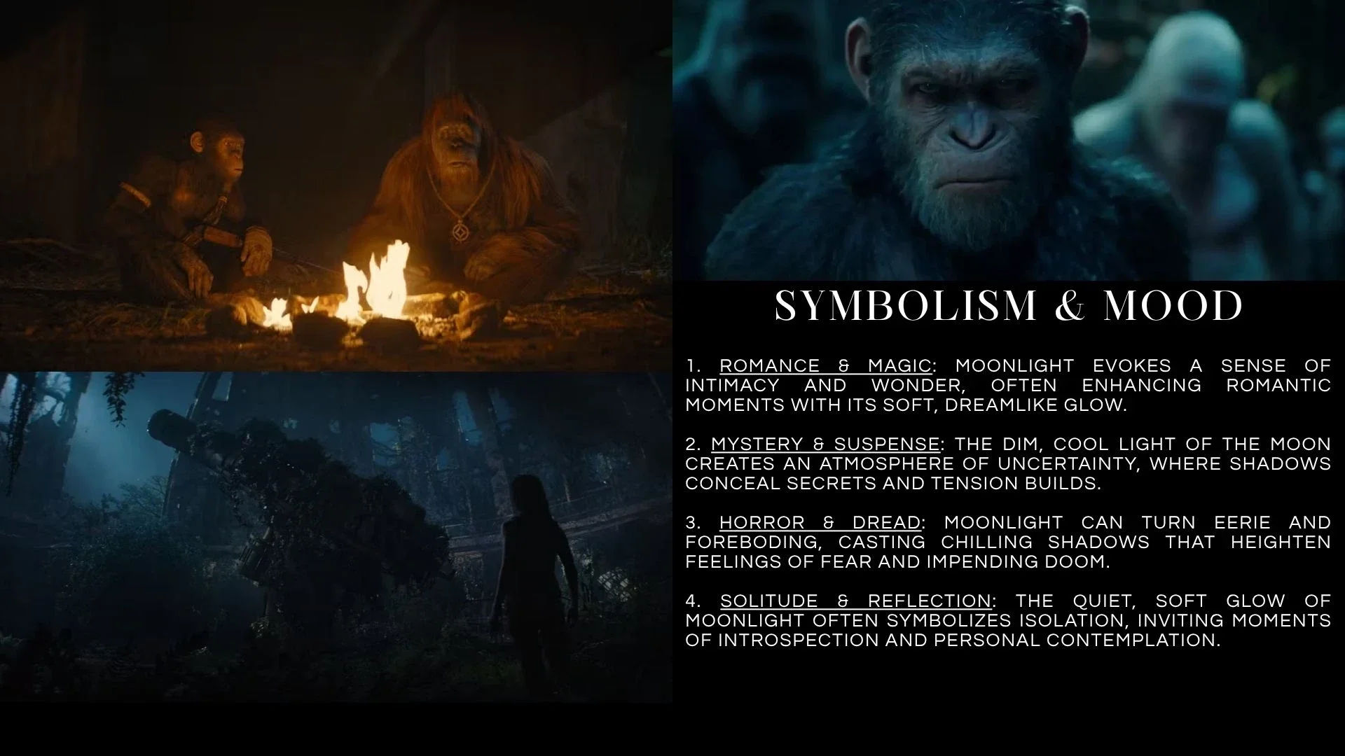 senior-environment-lighting-12 (8).webp