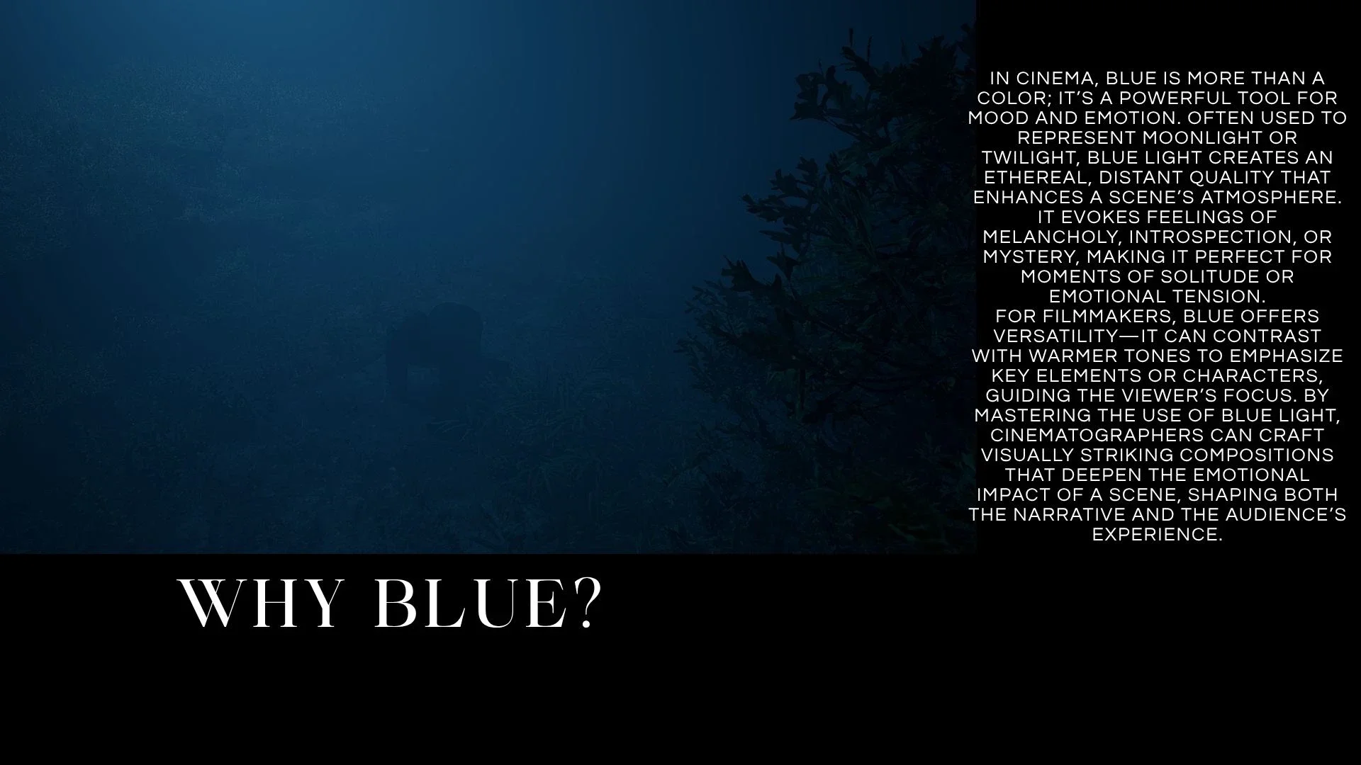 senior-environment-lighting-12 (10).webp