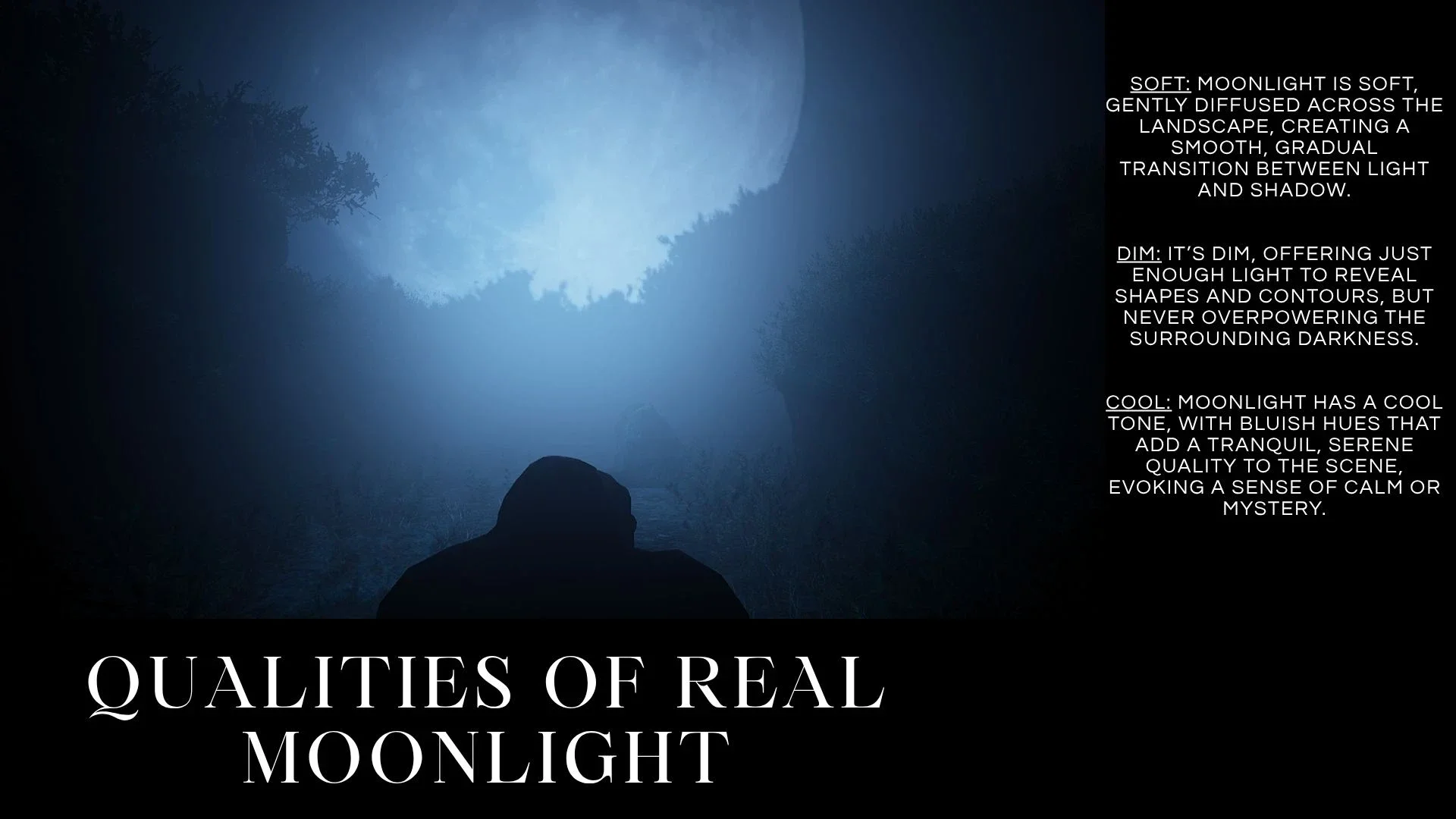 senior-environment-lighting-12 (9).webp