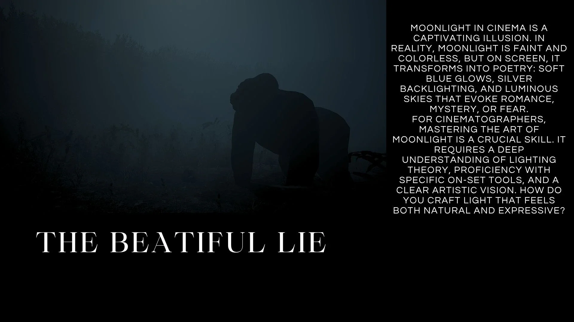 senior-environment-lighting-12 (11).webp