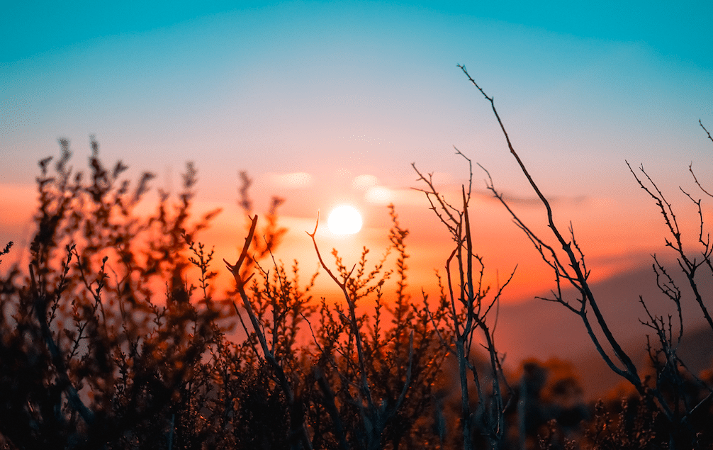 Forming Your Own Peace Practices