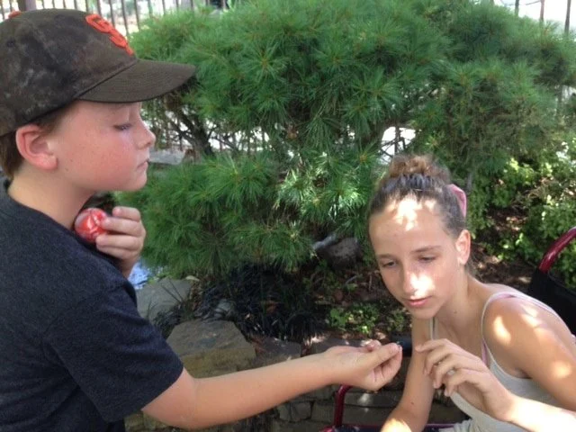 Catching Dragonflies
