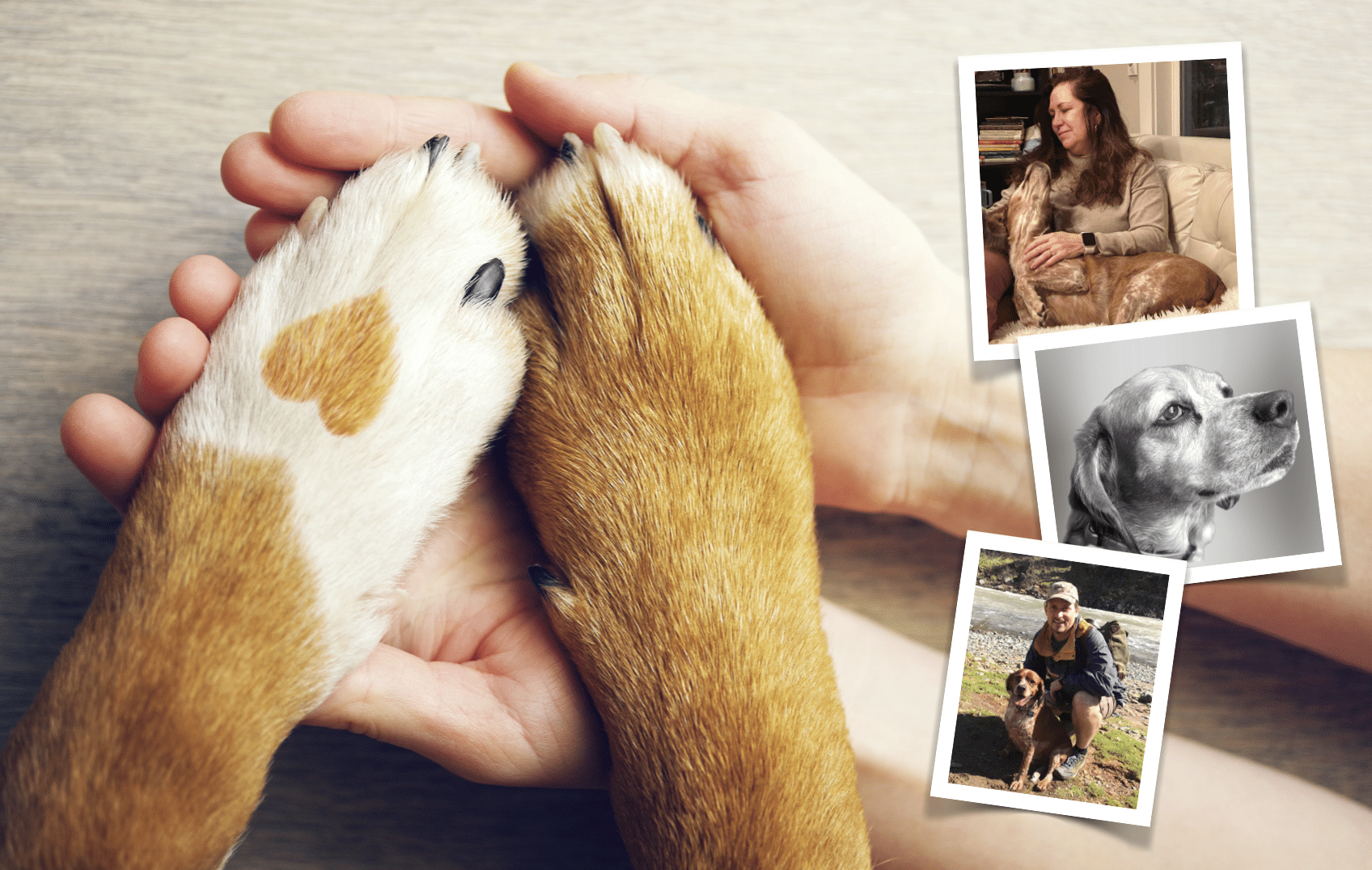 Saying Goodbye to our Pets