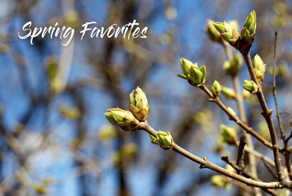 Spring Favorites