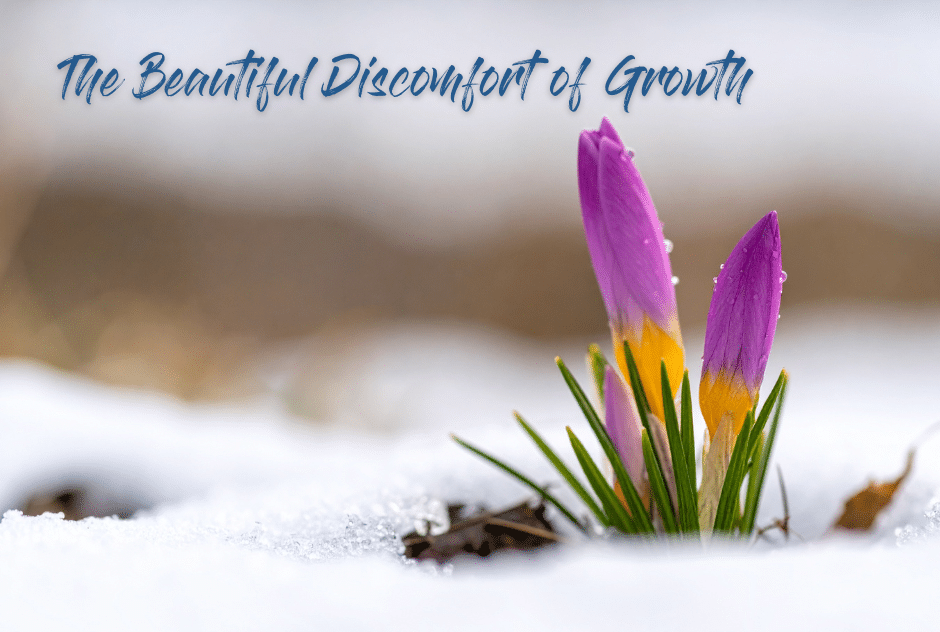 The Beautiful Discomfort of Growth