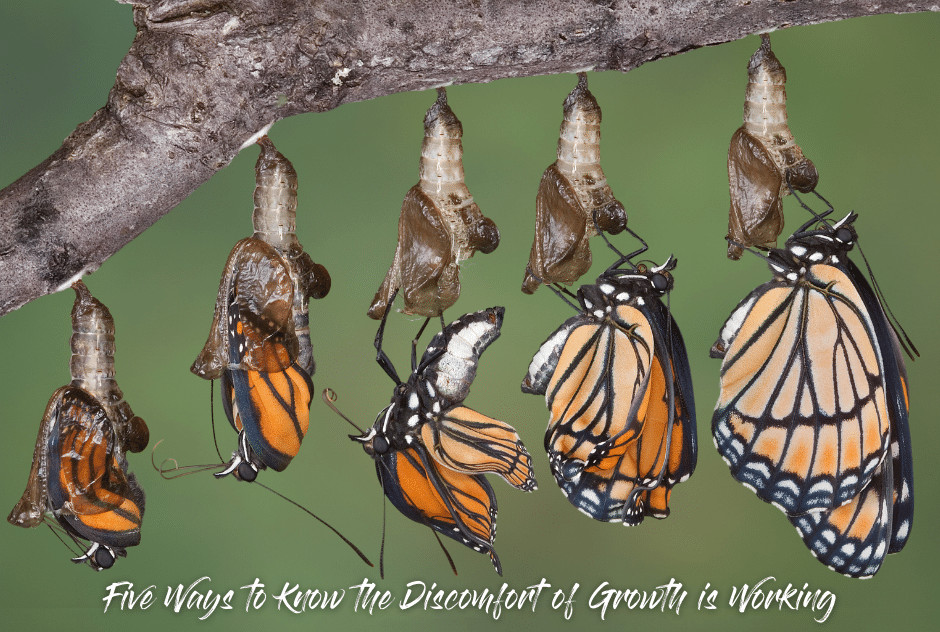 Five Ways to Know the Discomfort of Growth is Working