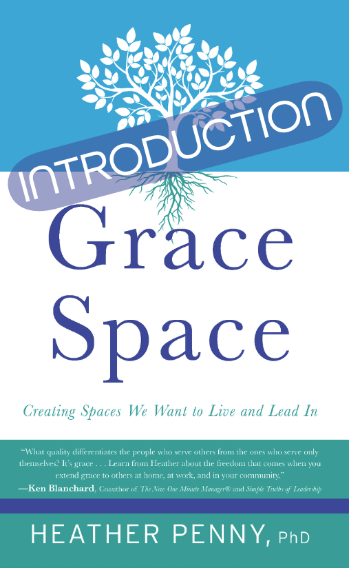 Grace Space Introduction