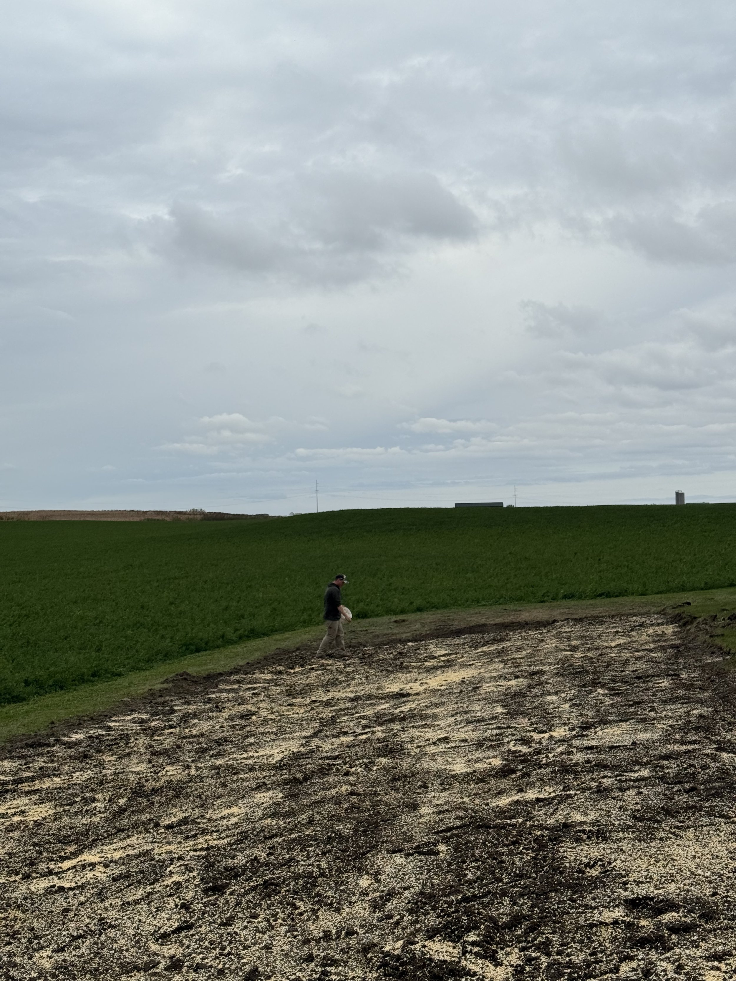 Person walking on field with dark soil, green grass, and cloudy sky overhead.