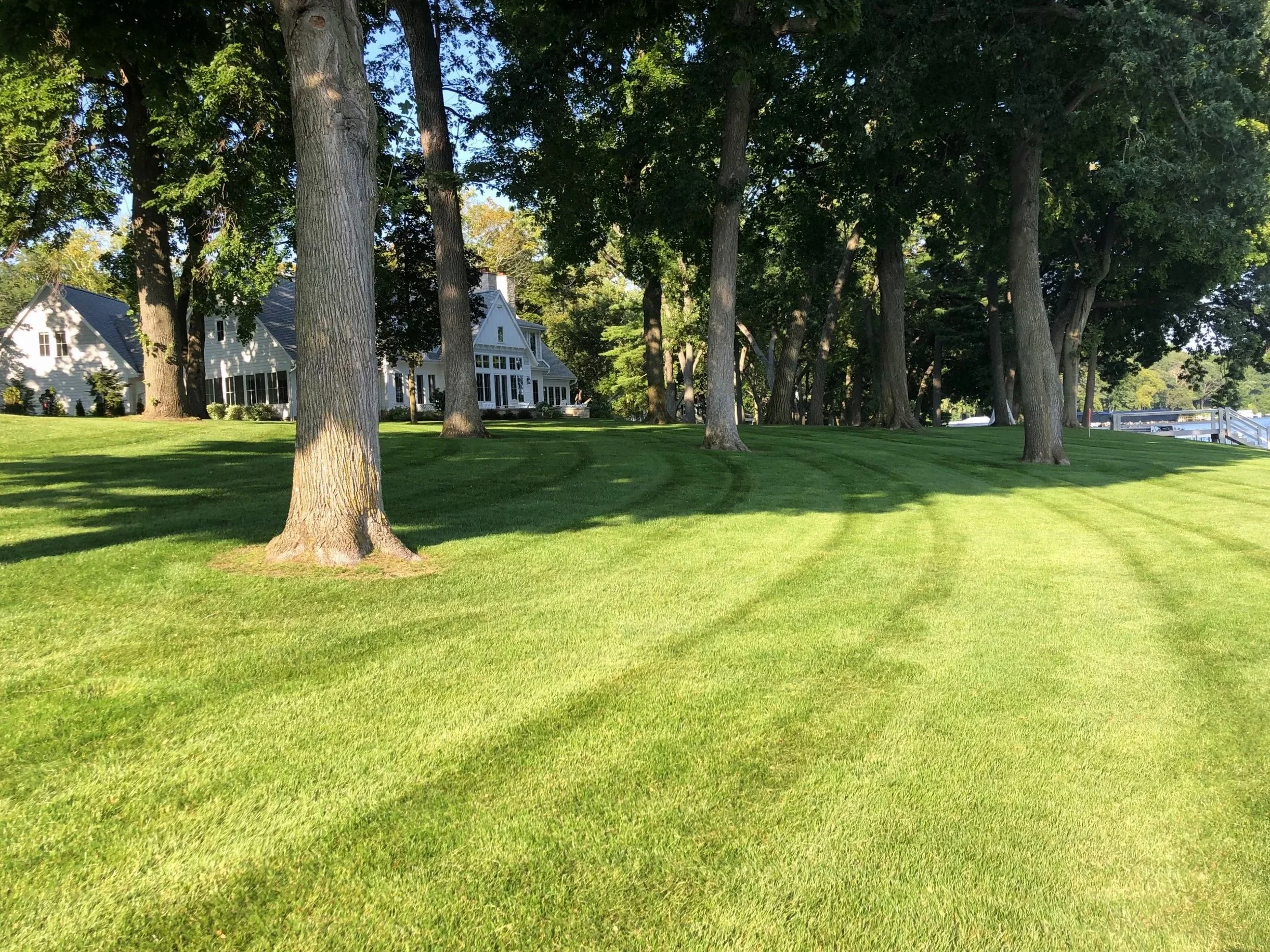 A lush green lawn with tall trees casting shadows and several white houses with dark roofs in the background.