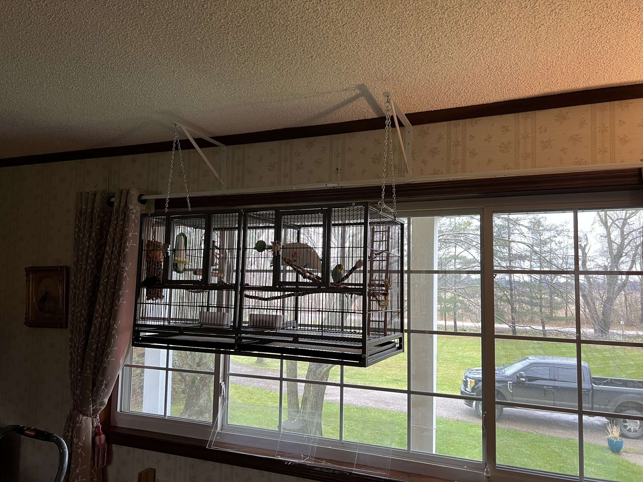 Indoor view of an animal cage hanging from the ceiling in front of a large window showing a lawn and parked truck outside.