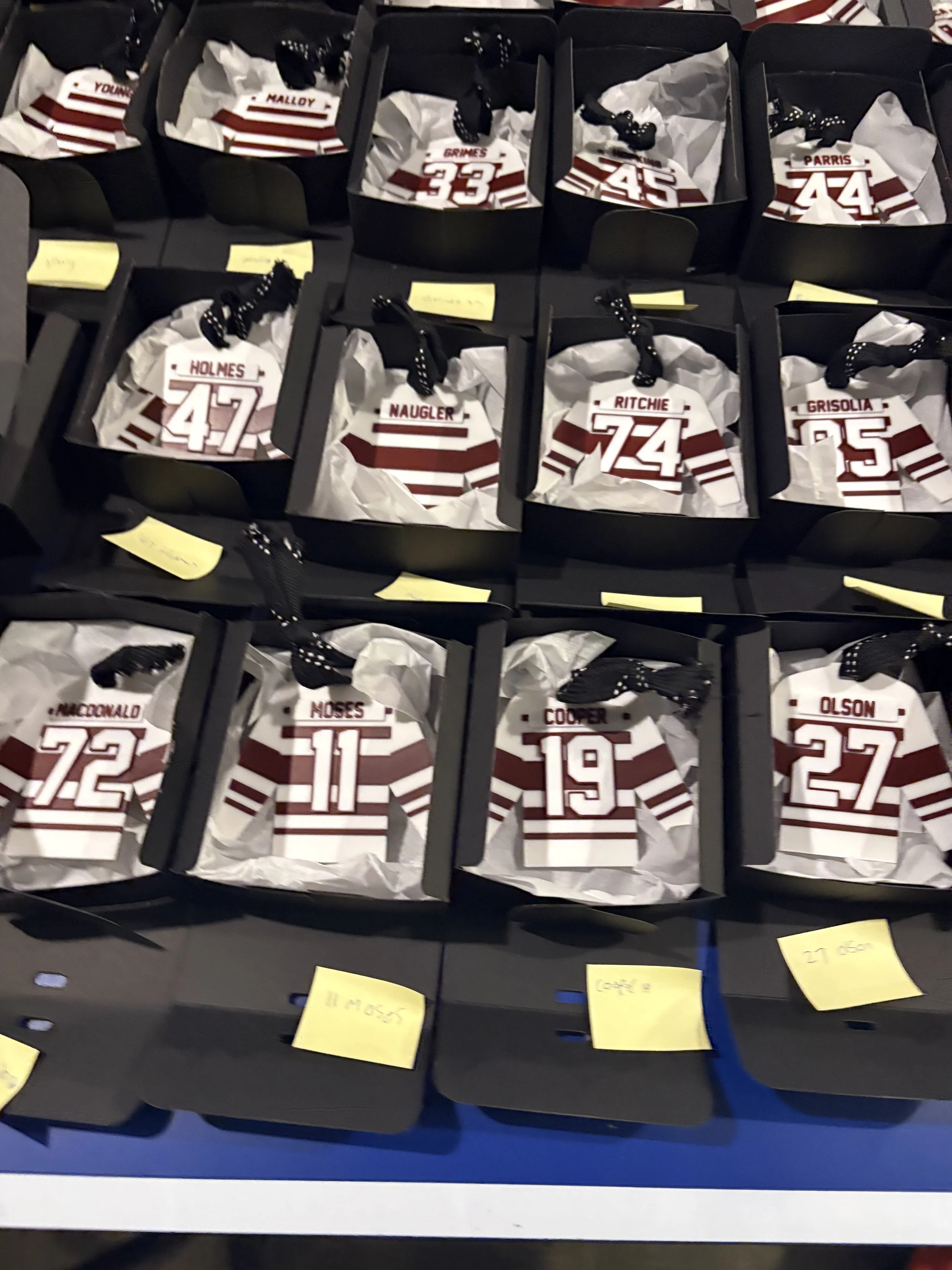 Saint Mary's Mens Hockey team Custom jersey ornaments