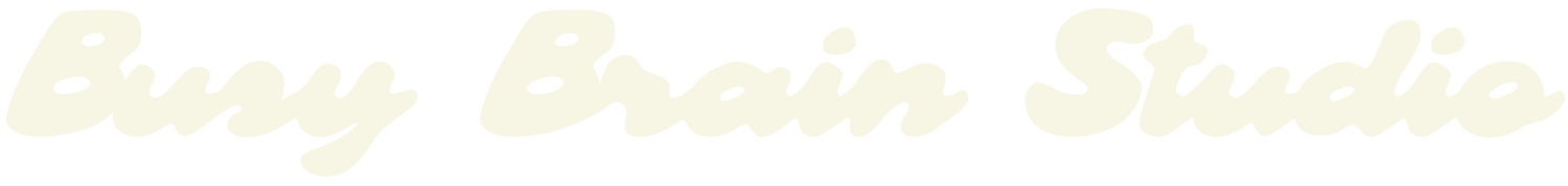 BUSY BRAIN STUDIO (Copy)