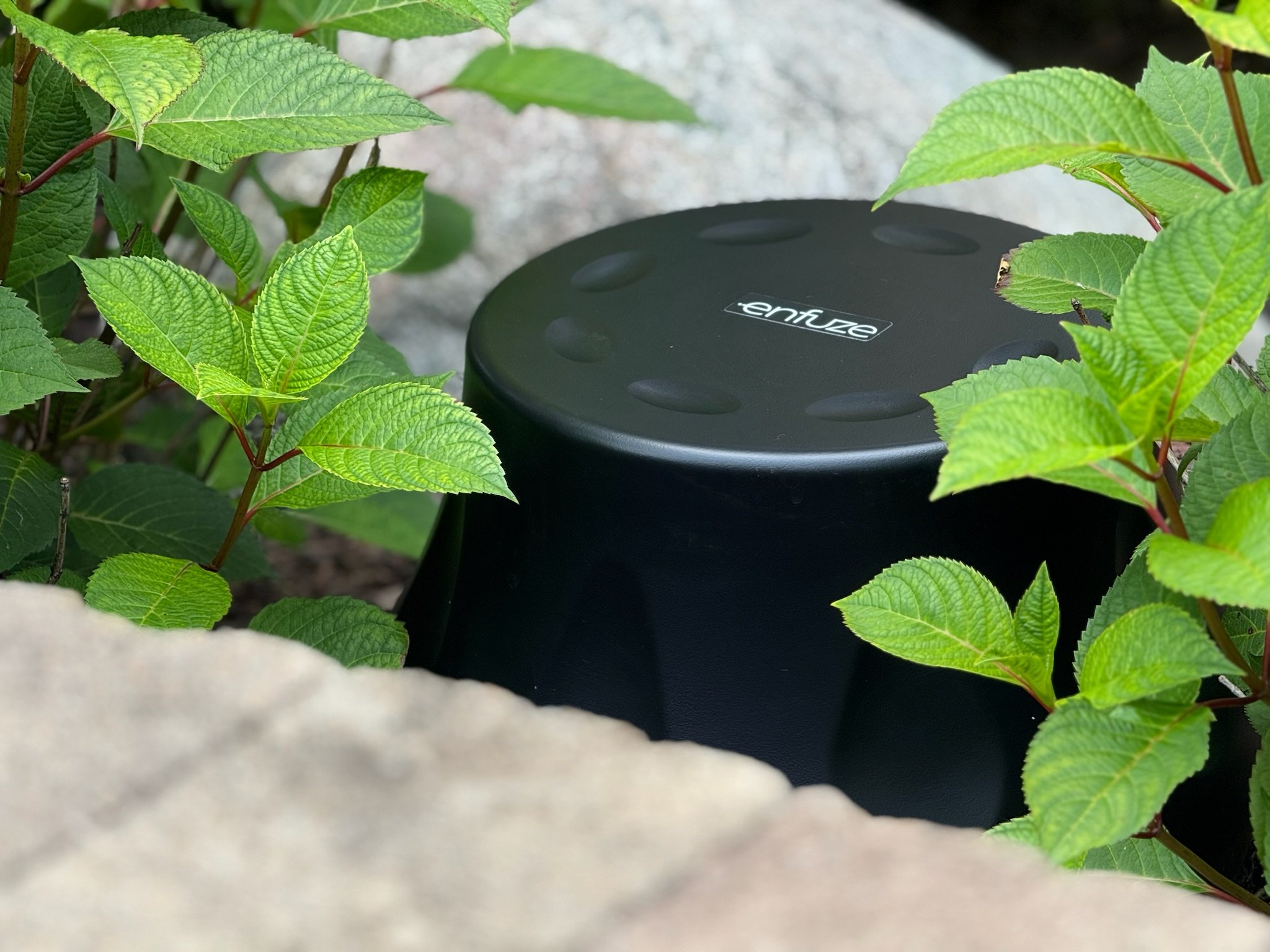 A black Enfuze subwoofer partially hidden among green leaves and plants, with a light gray stone in the foreground.