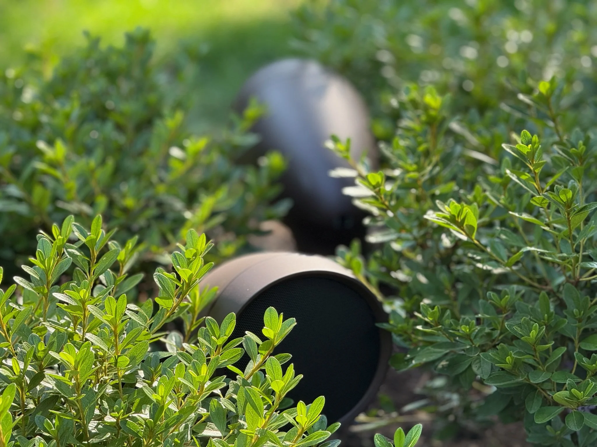An earth-toned Enfuze landscape speaker nestled within green bushes with small, glossy leaves, basking in sunlight.