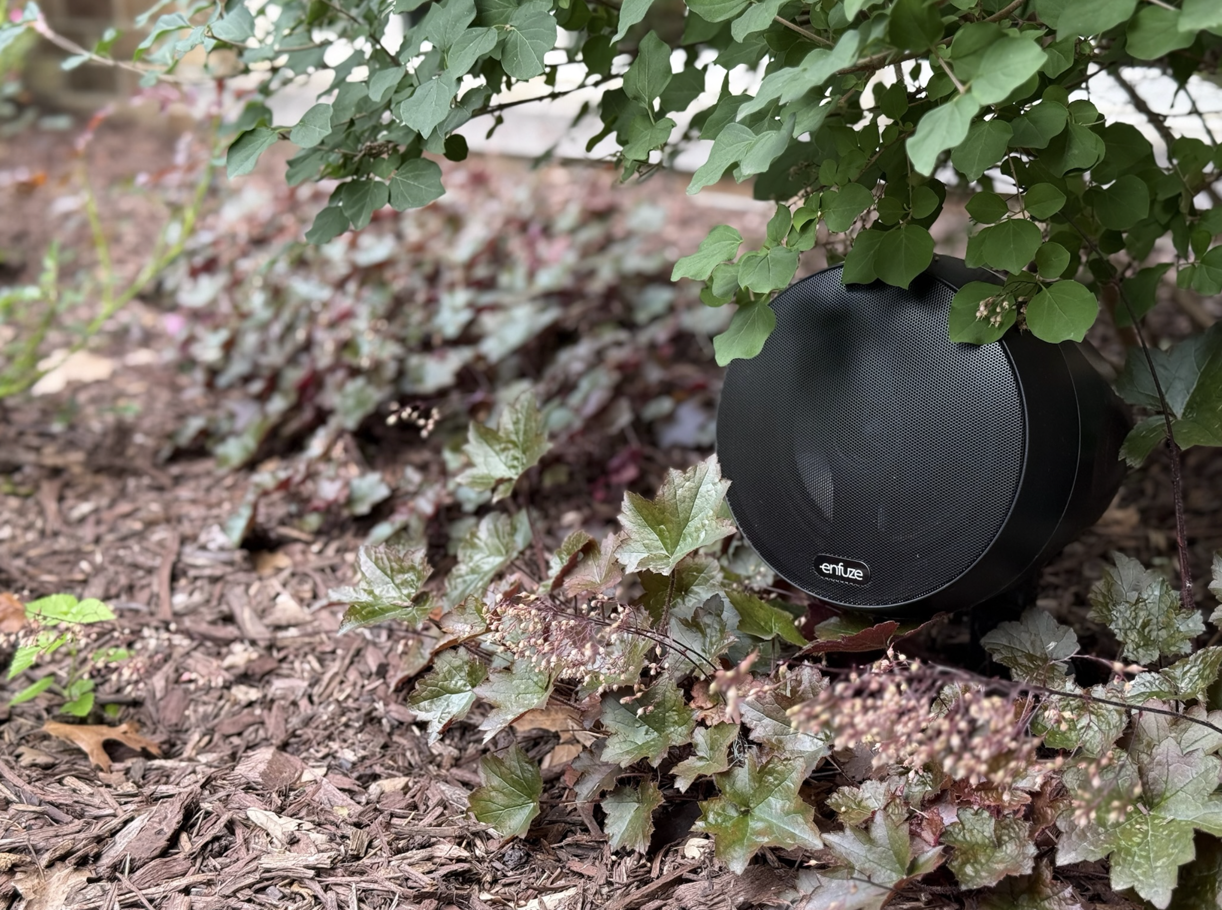 A black Enfuze landscape speaker placed among green and variegated leaves and mulch on the ground.