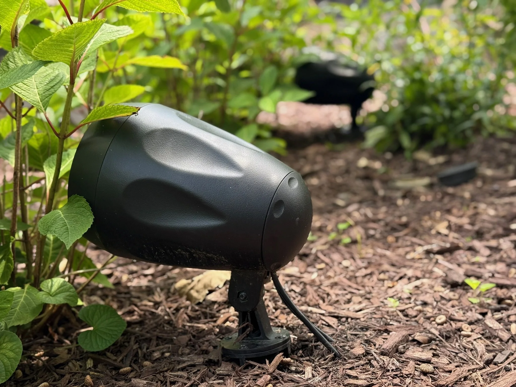 A black Enfuze landscape speaker mounted on a stake in a garden, surrounded by green leaves and mulch, with a blurred bird in the background.