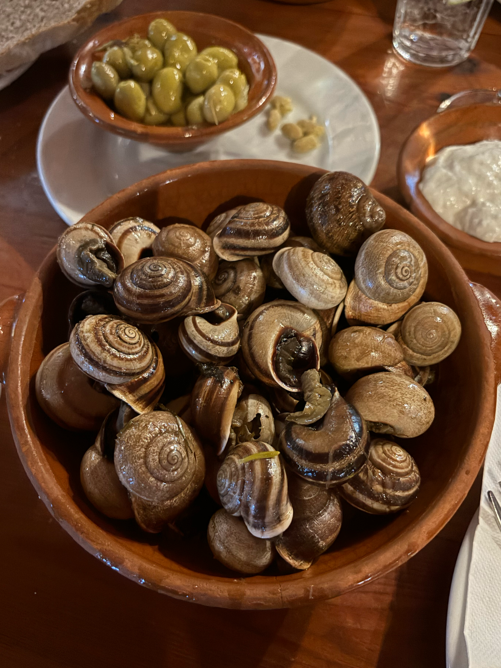 snails