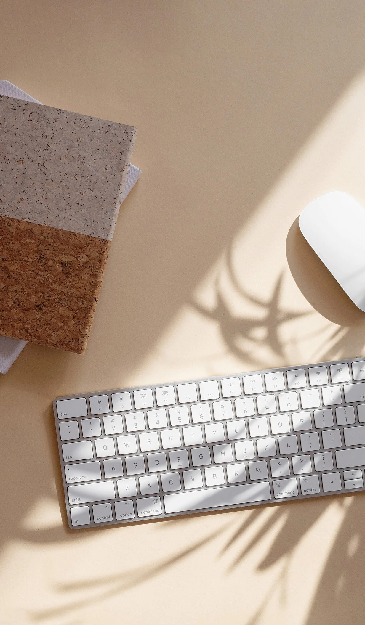 A flatlay of a beige table with a computer keyboard and mouse and 2 books stacked next to them with a plant shadow overlay