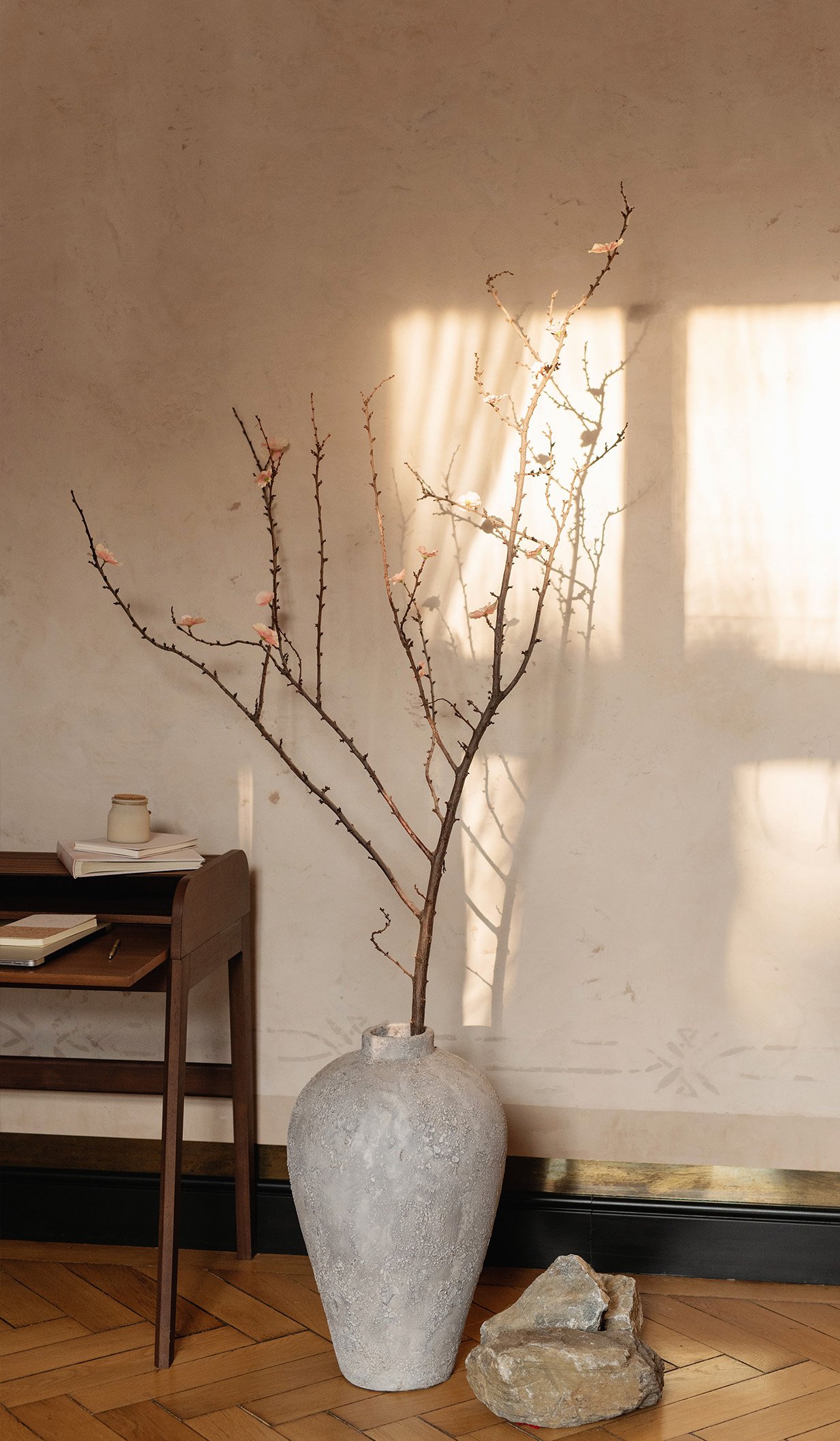 A beige textured wall with sunlight coming from the window across the room and there's a branch plant in front of it