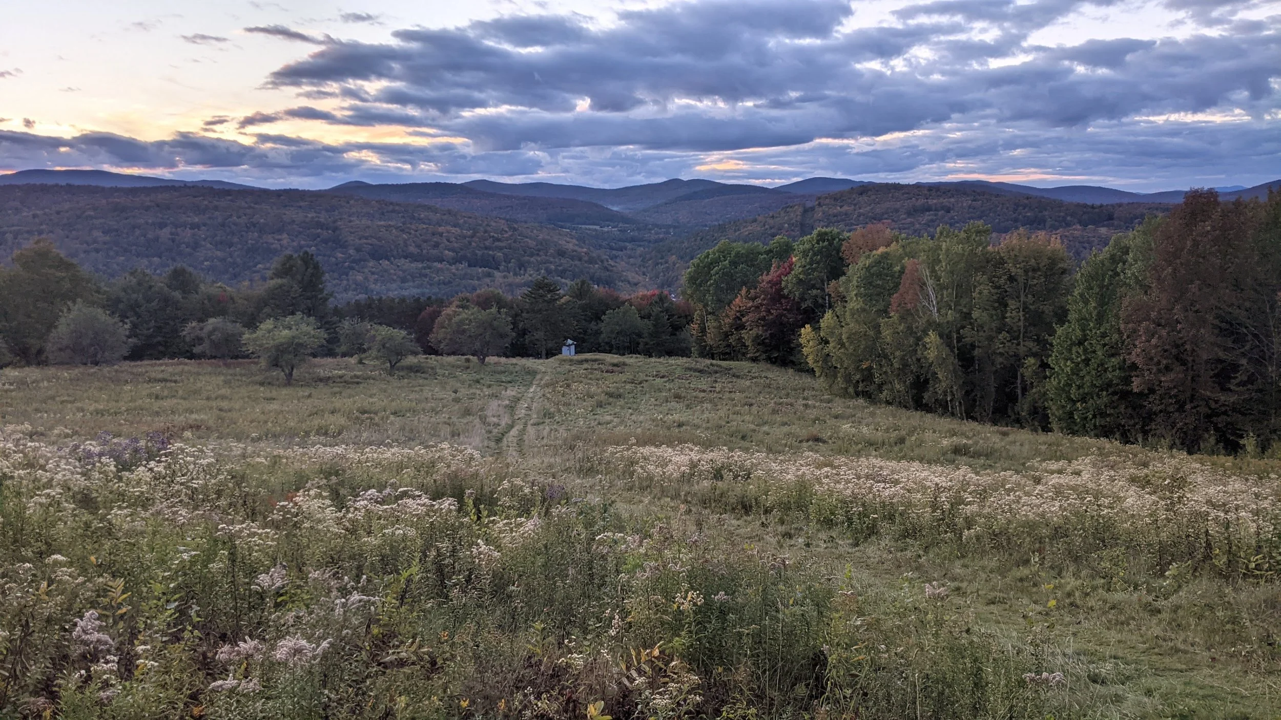 Scenic view of a grassy meadow with wildflowers and a dirt path, surrounded by trees and rolling hills under a cloudy sky at sunset.