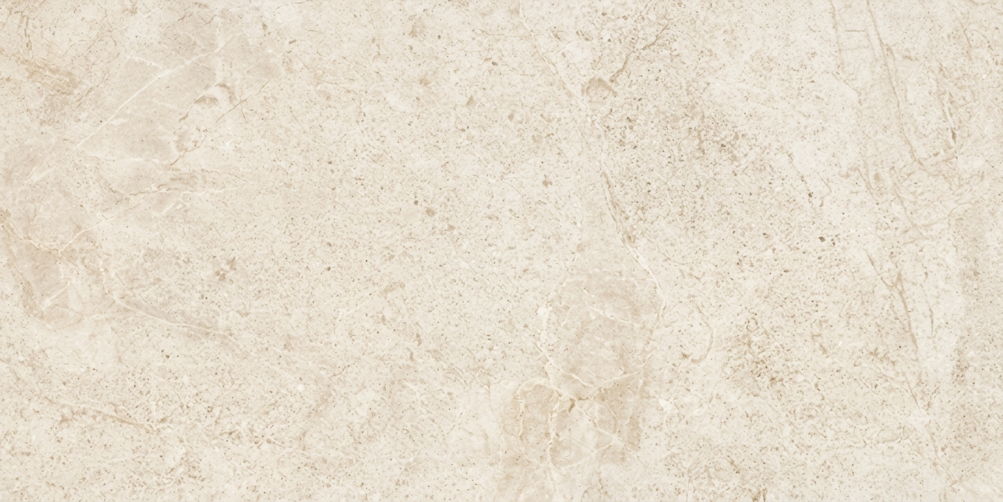 Porcelain Tile 60-120FMC10008M