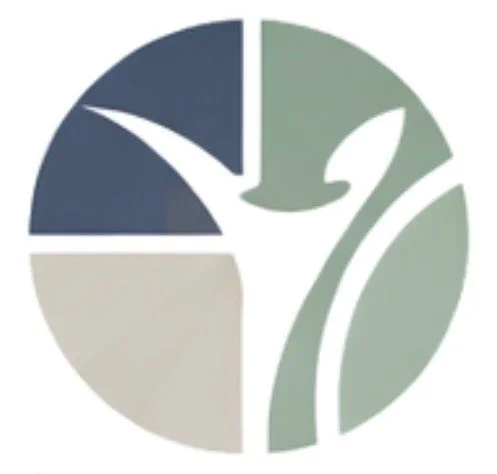 A circular pie chart divided into four sections with shades of green, blue, and beige, and a white silhouette of a person with raised arms in the center.