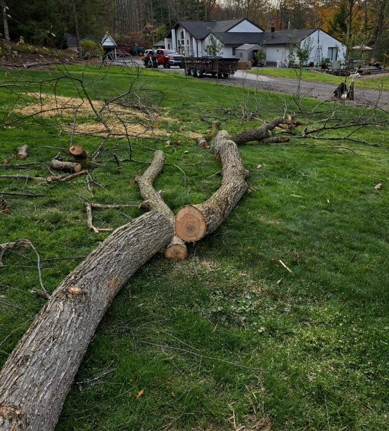 Screenshot 2026-03-10 9.22.14 PM.png