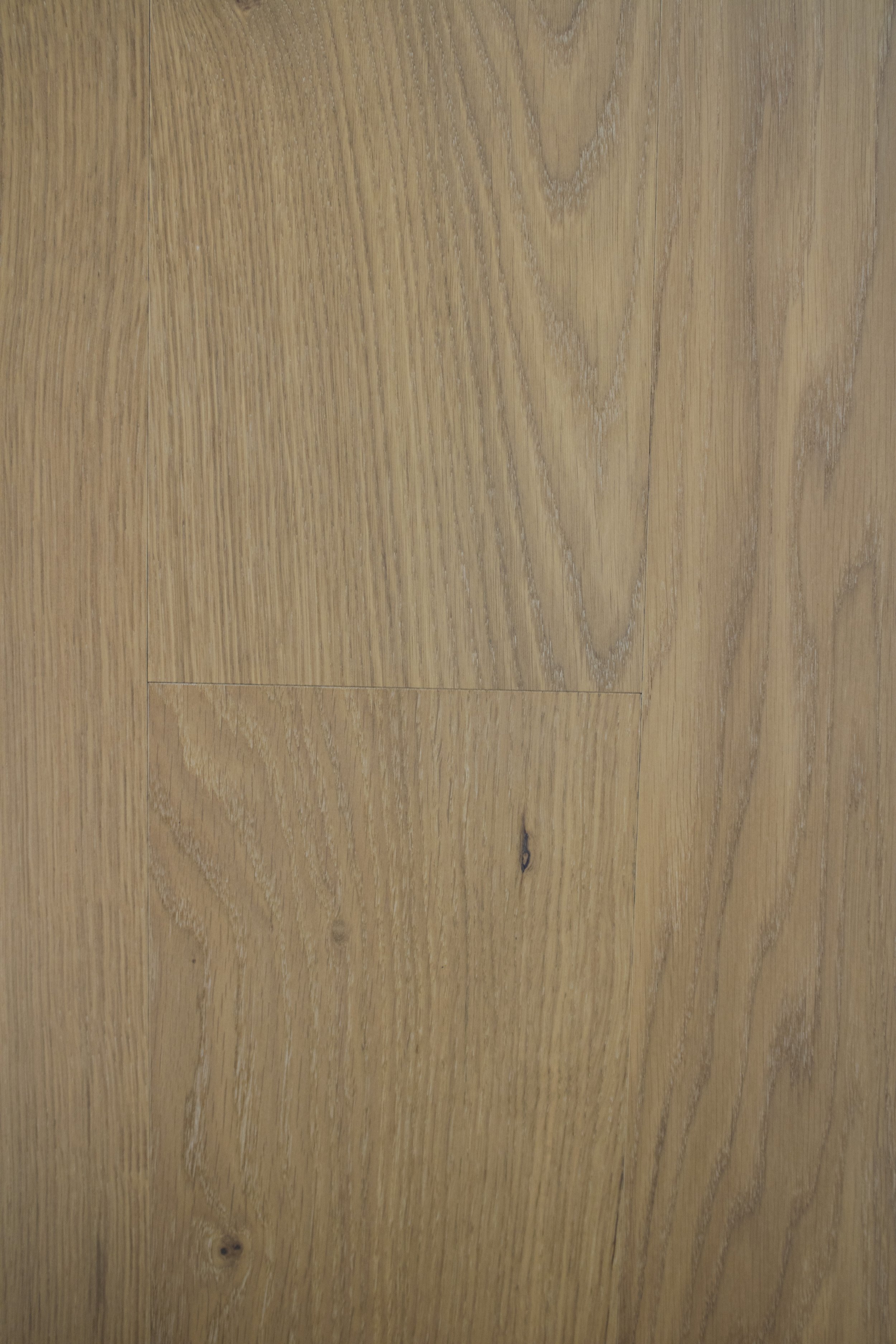BEJLIN Sample 2.jpg