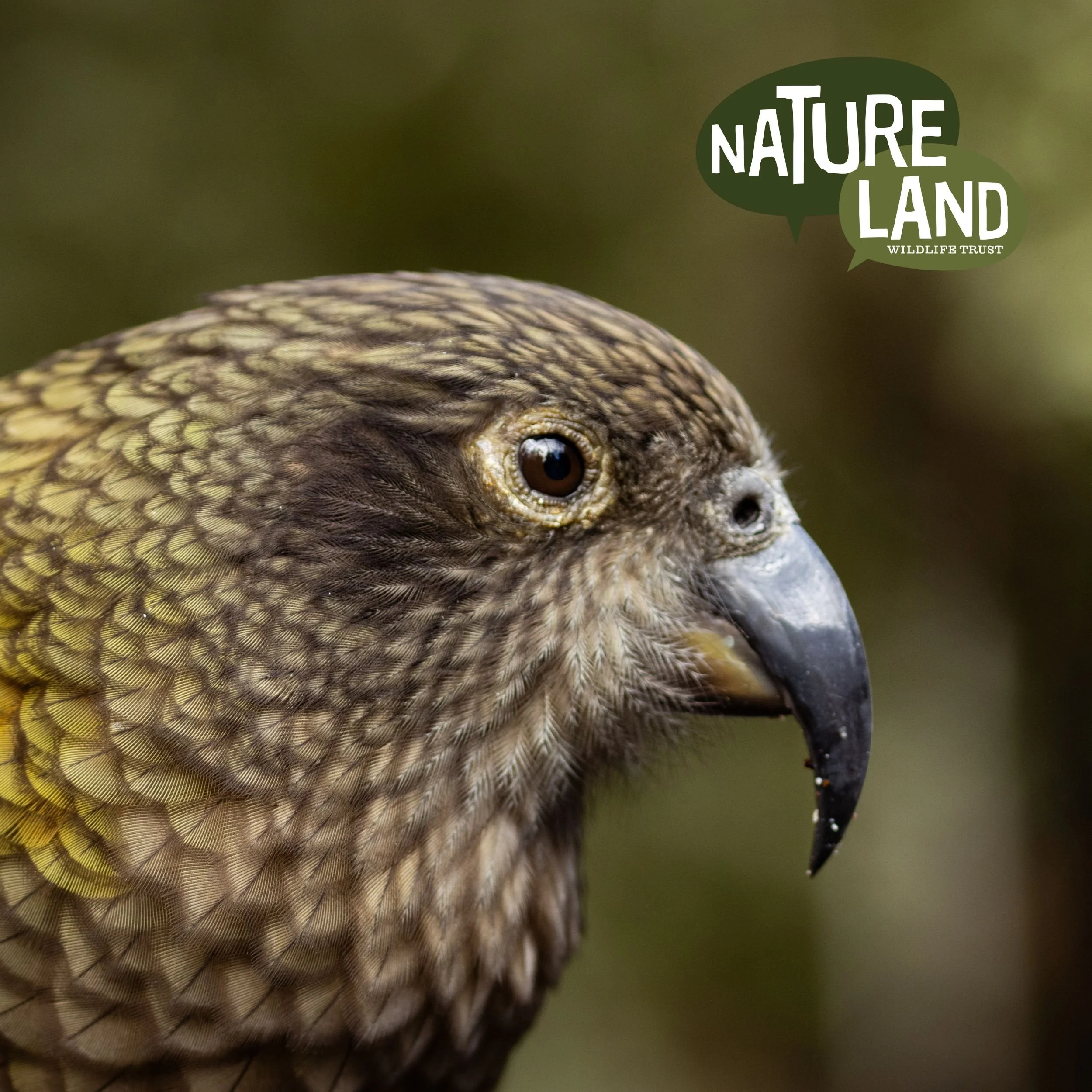 Natureland