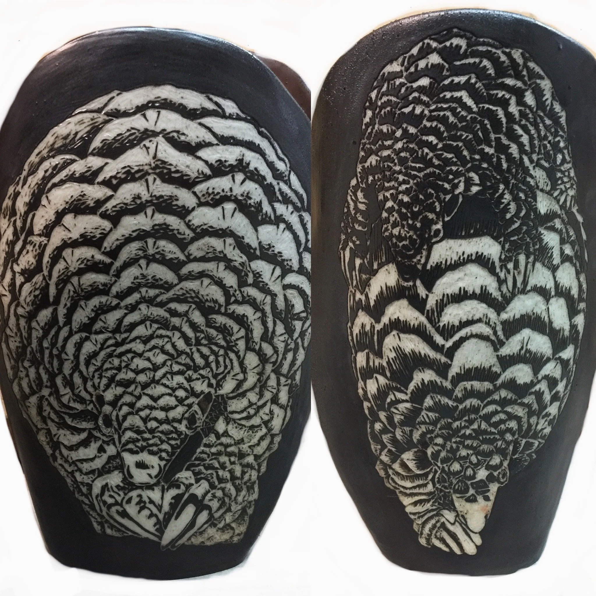 African Giant Pangolin: Endangered Animal Series: Sgraffito on Stoneware