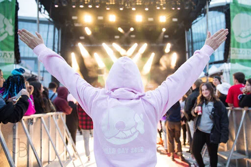 Dillo Day lyrics you need to know - North by Northwestern