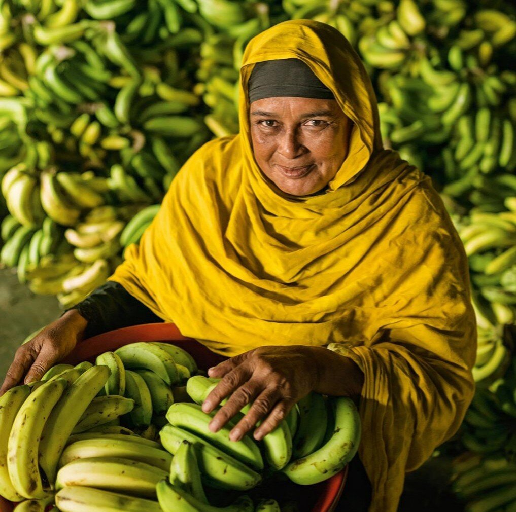 On the Journey: Feeding the World