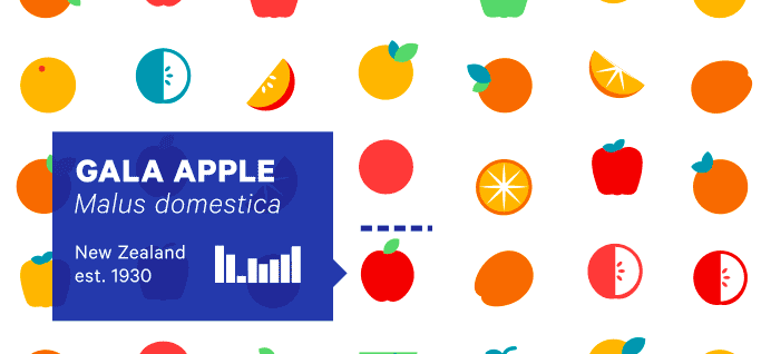 Food Made Simple: The Future of Flavor