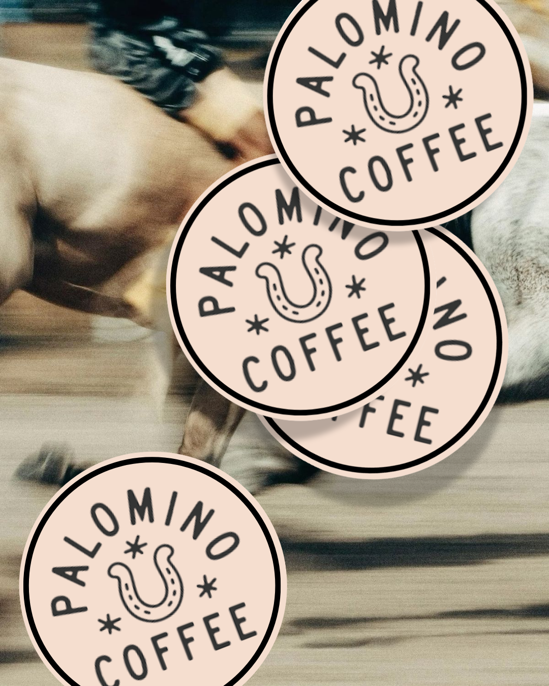 Palomino Coffee Pitch - IG Grid Base.png