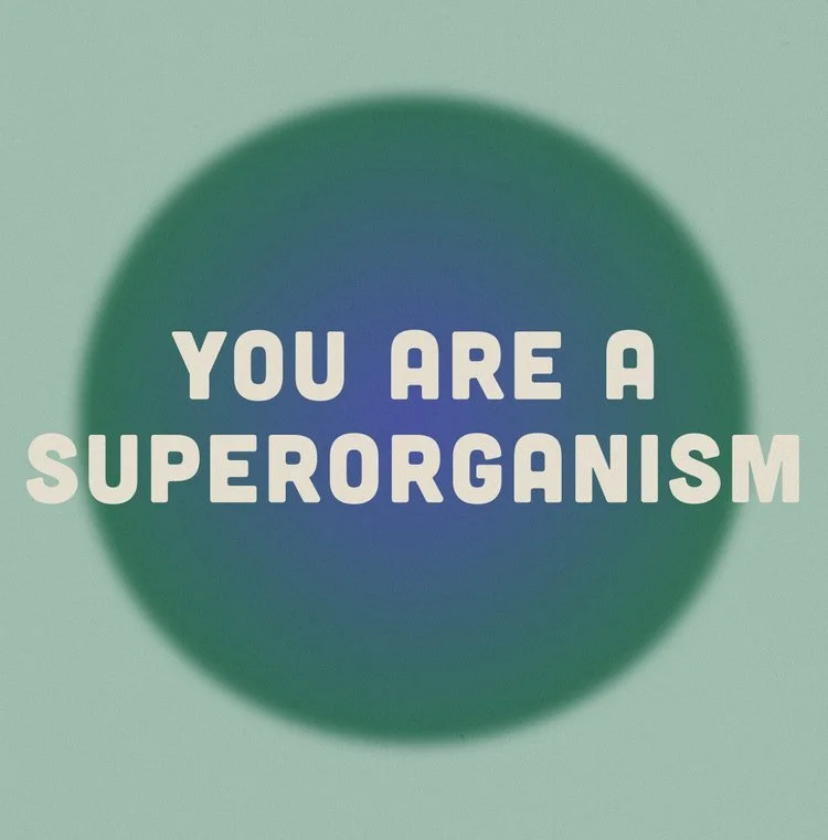 image-asset (2).jpeg